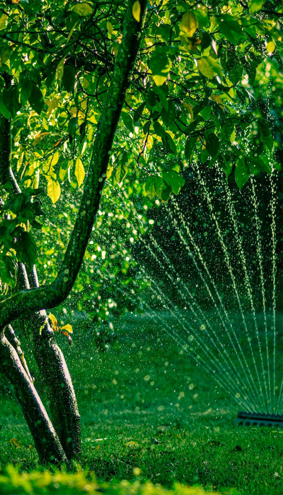Irrigazione